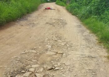 Manipur: Unidentified Gunmen Kill 4 in Churachandpur