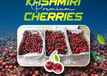 Kashmiri Cherries Go Global: First Commercial Consignment Flagged Off to Saudi Arabia and UAE