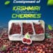 Kashmiri Cherries Go Global: First Commercial Consignment Flagged Off to Saudi Arabia and UAE