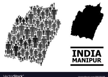 Can Census Data Be Trusted in the Case of Manipur?