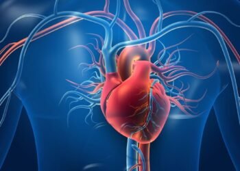 Alarming! Experts reveal the Silent Dangers of Coronary Artery Disease