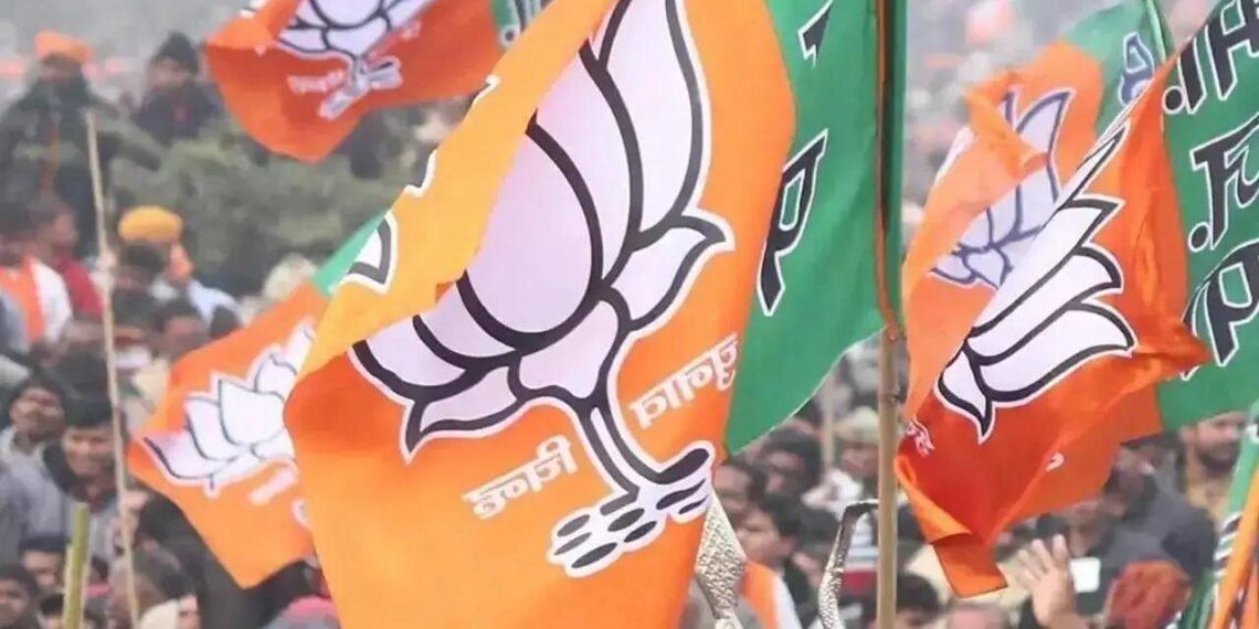 Mizoram: BJP Ousted from Chakma Council After Just 4 Months