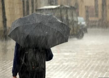 India to Experience Intense Rainfall over next 6-7 days: IMD