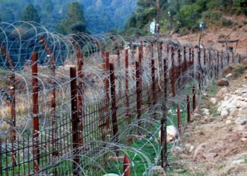 Manipur: Kuki Body Demands Halt to Indo-Myanmar Fencing