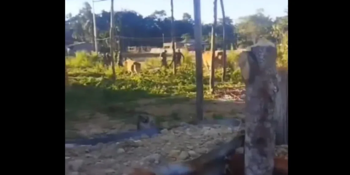 Manipur HC Warns NIA Over Delay in Jiribam Killings Probe