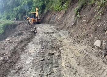 No Peace Without Alternate Roads: Kuki Rights Group Warns Centre