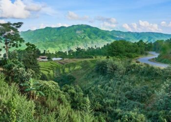 Tribals Show the Way in Manipur, Hill Districts Lead Peace and Justice Index