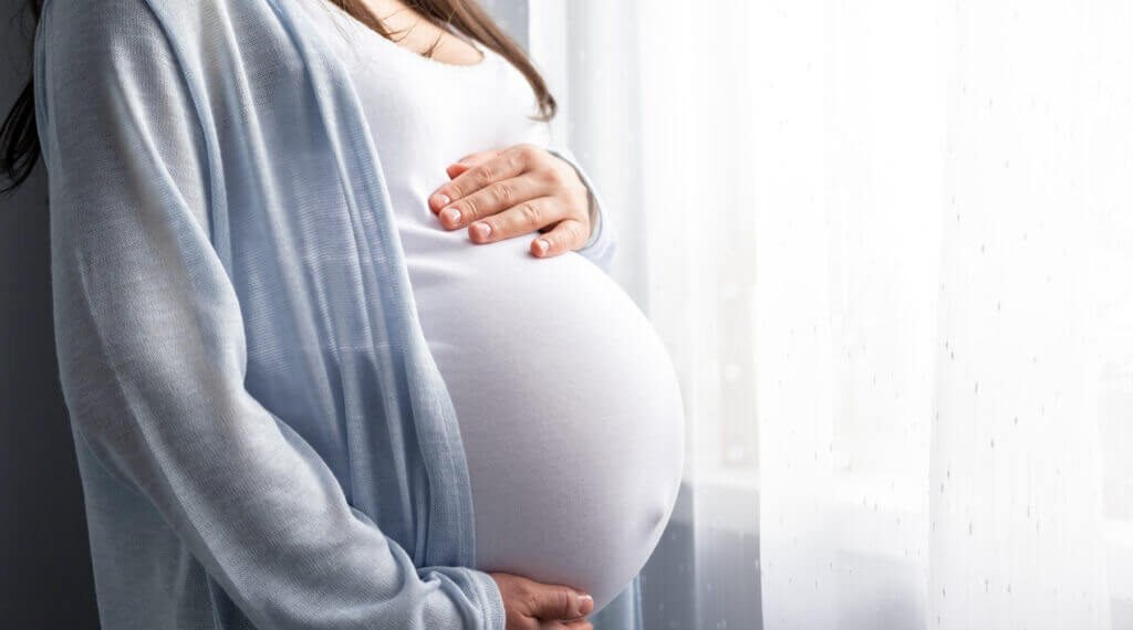 Navigating Through Pregnancy Cycle: Biological, Emotional And Medical Aspects