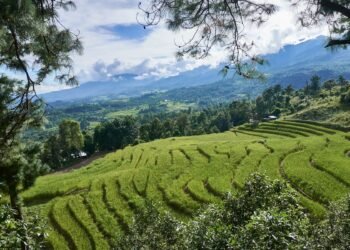 Sadar Hills, Manipur