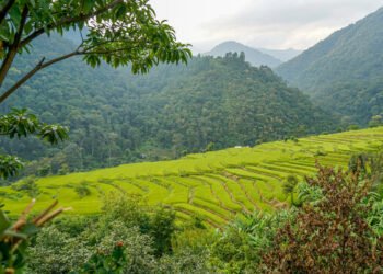 Part 1: A Roadmap for Green Farming in the Northeast Hills