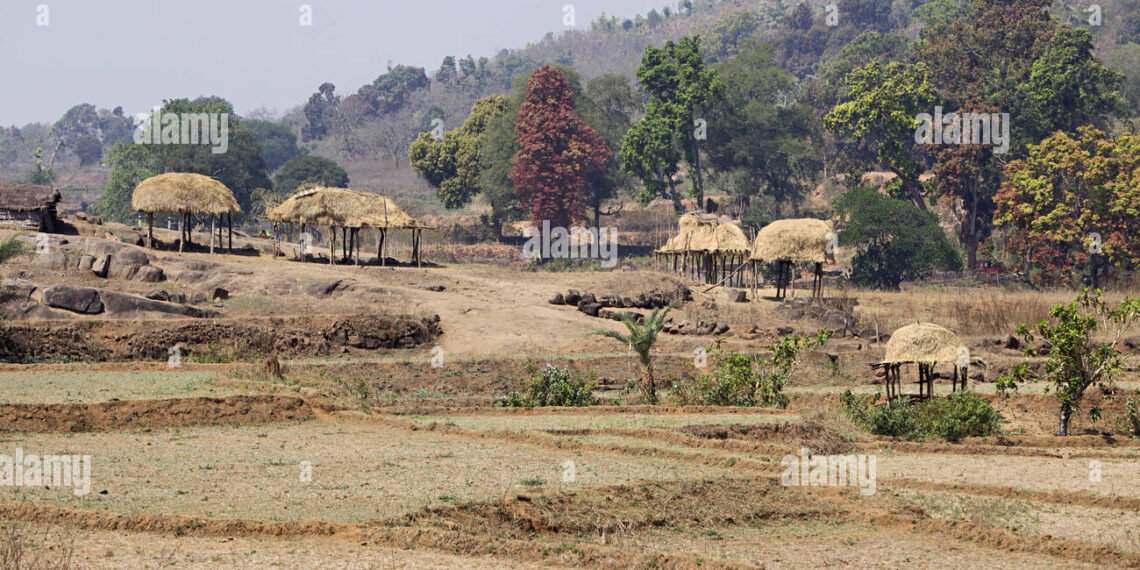 Tribal Land Sold Illegally, Orissa High Court Orders Probe