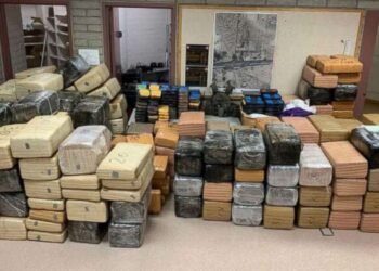 Manipur: Kangpokpi Police Seize 9.8 Kg of Brown Sugar