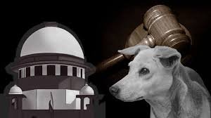 SC Slams States, UTs for Inaction on Stray Dog Menace