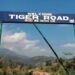 Tiger road