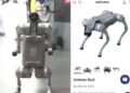 Robotic Dog