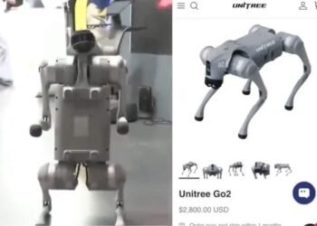 Robotic Dog