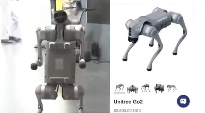 Robotic Dog
