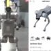 Robotic Dog