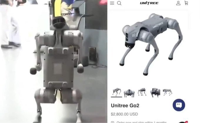 Robotic Dog