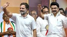 DMK