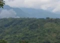 Village Burning