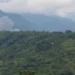 Village Burning