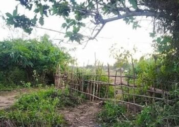 Indo-Myanmar border