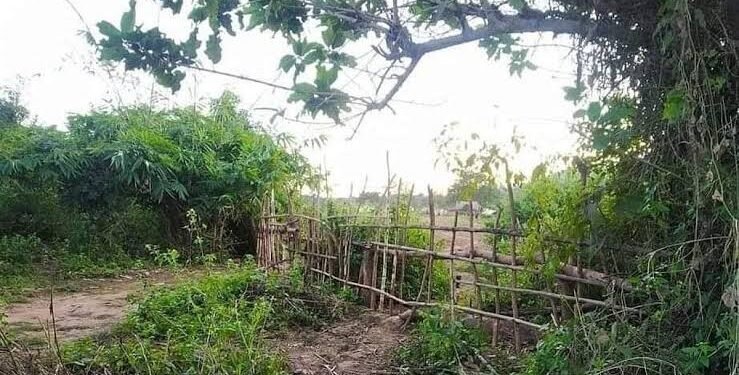 Indo-Myanmar border