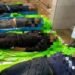NSCN (I-M) Demotes Two Officers Over Shootout That Left Four Dead