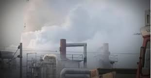 Seven Women Die in Ammonia Leak at Tiruvallur Seafood Plant