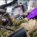 Manipur: Kuki Church Deacon and Youth Leader Killed in Kamjong