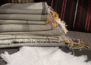 Pashmina