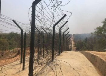 NSCN(I-M)