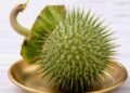 Datura