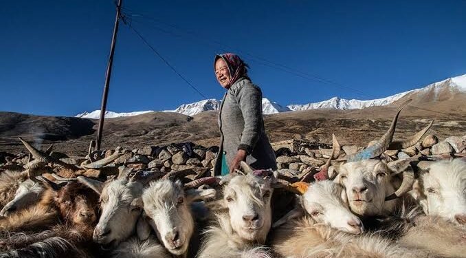 Ladakh