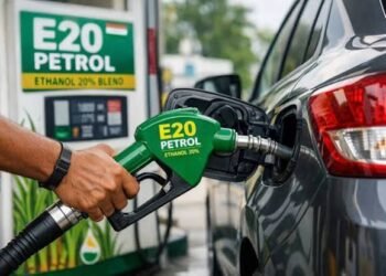 E20 Row: Chief Economic Adviser Backs E10 Option for Older Vehicles