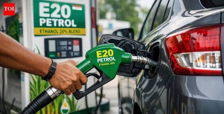 E20 Row: Chief Economic Adviser Backs E10 Option for Older Vehicles