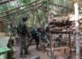 NSCN (I-M)