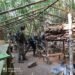 NSCN (I-M)