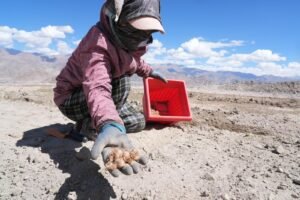 Ladakh